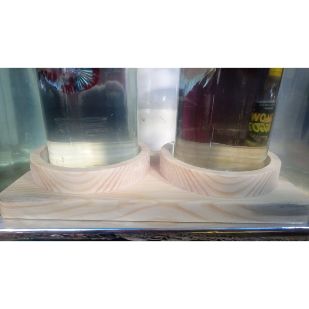 tempat hiasan ikan cupang ,alas dari kayu jati 1 set sama toplesnya .hasil karya seni