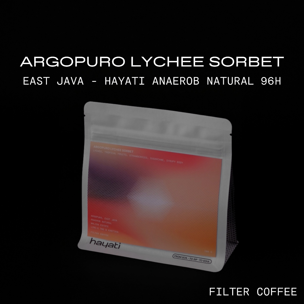 ARGOPURO LYCHEE SORBET | ANAEROB NATURAL | SPECIALTY COFFEE FILTER 100gr/200gr