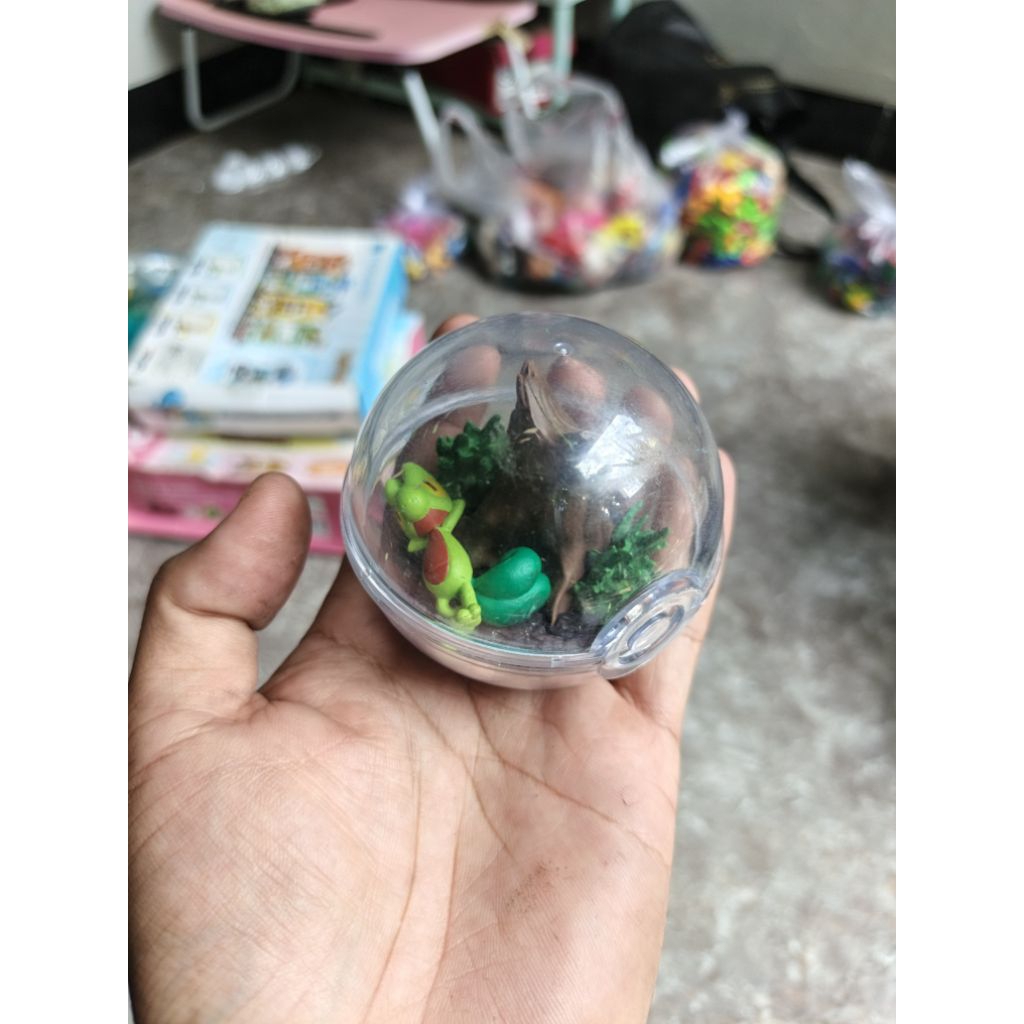 re ment terrarium figure pokemon treecko