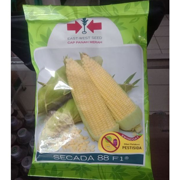 Benih Jagung Manis Secada 88 F1 1.750 Biji