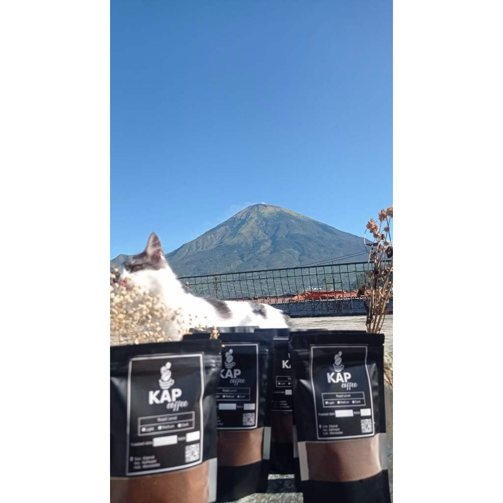 kopi sumbing