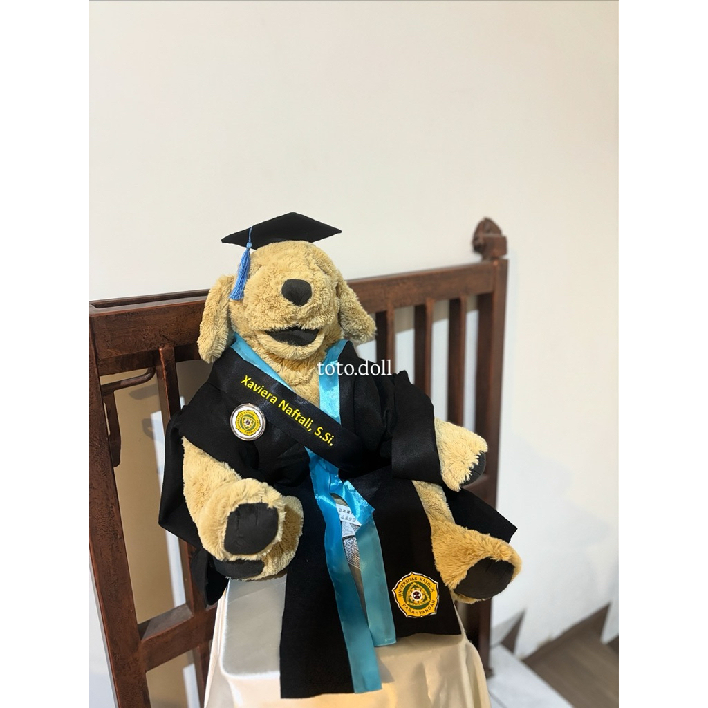 Boneka Wisuda Anjing Doggy Golden Retriever IKEA