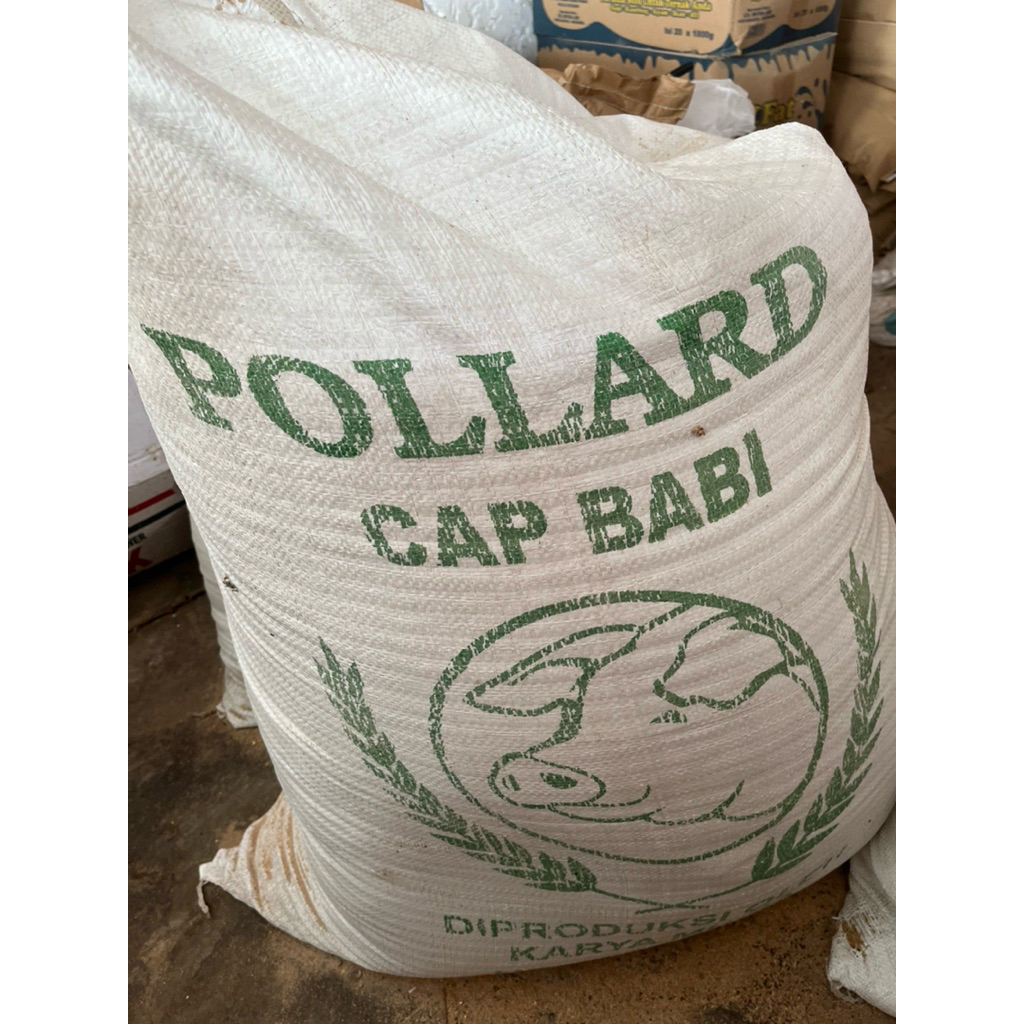 Pollard Cap Babi