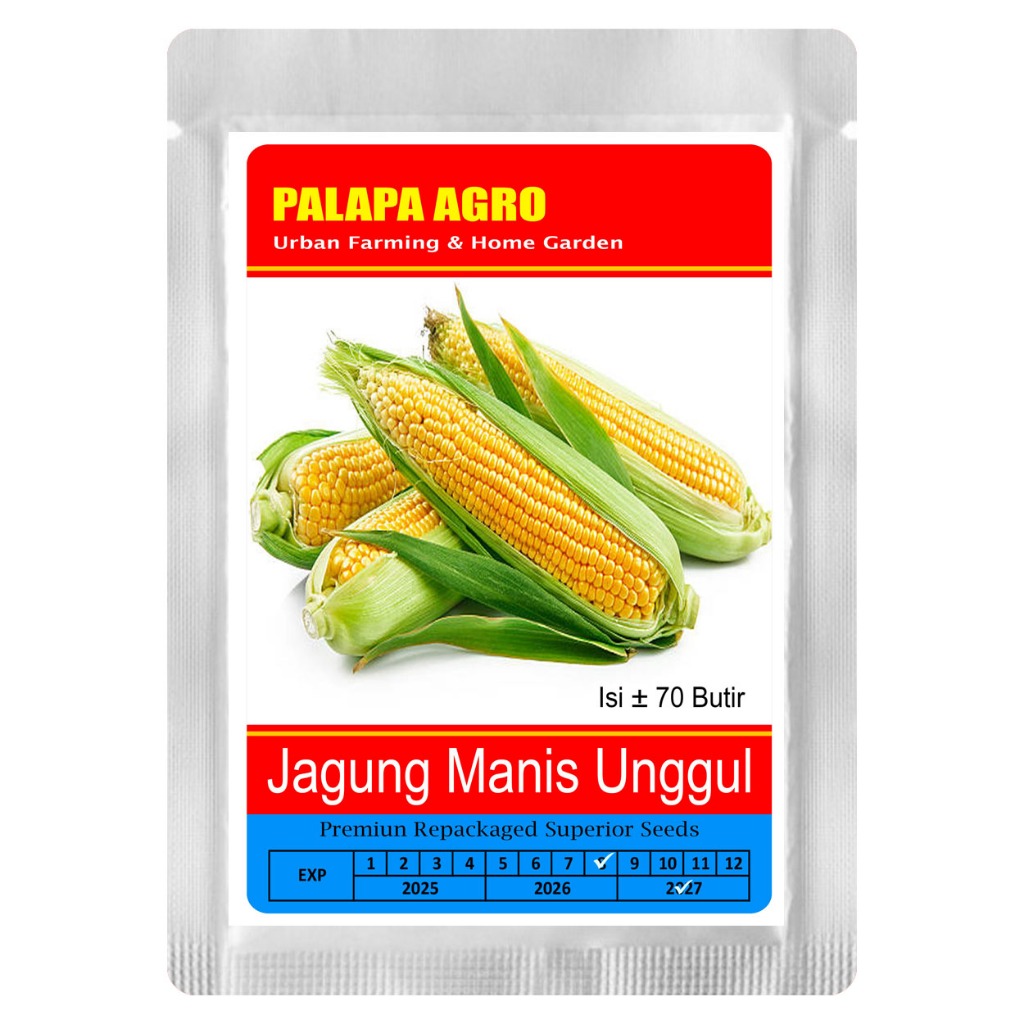 Bibit Jagung Manis Unggul - Benih Jagung Manis Super