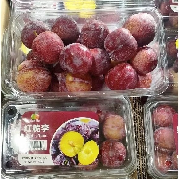Sugar Plum Red Plum Buah segar manis kemasan pack