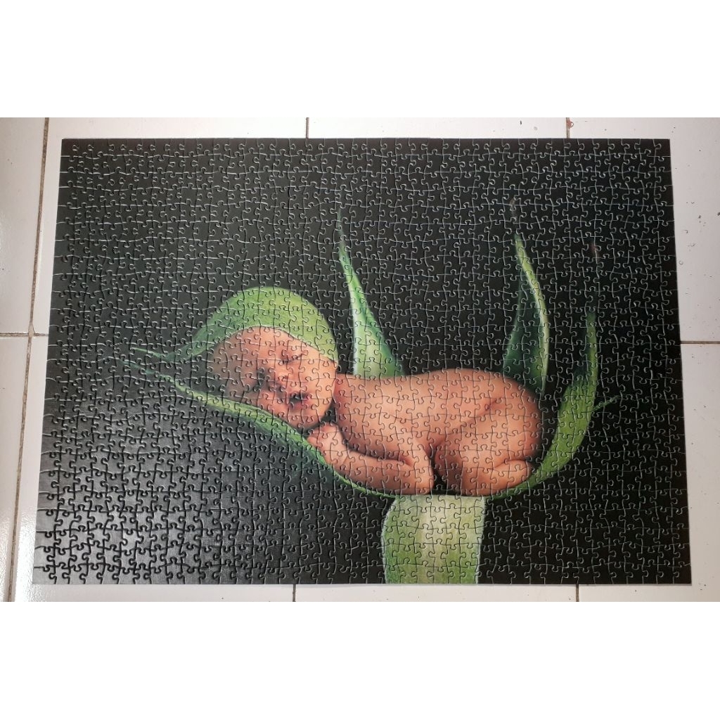 Jigsaw Puzzle Collection-"Anne Geddes 2006"