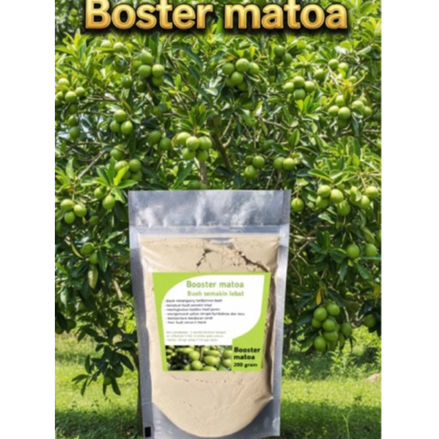 booster matoa pupuk pelebat buah matoa