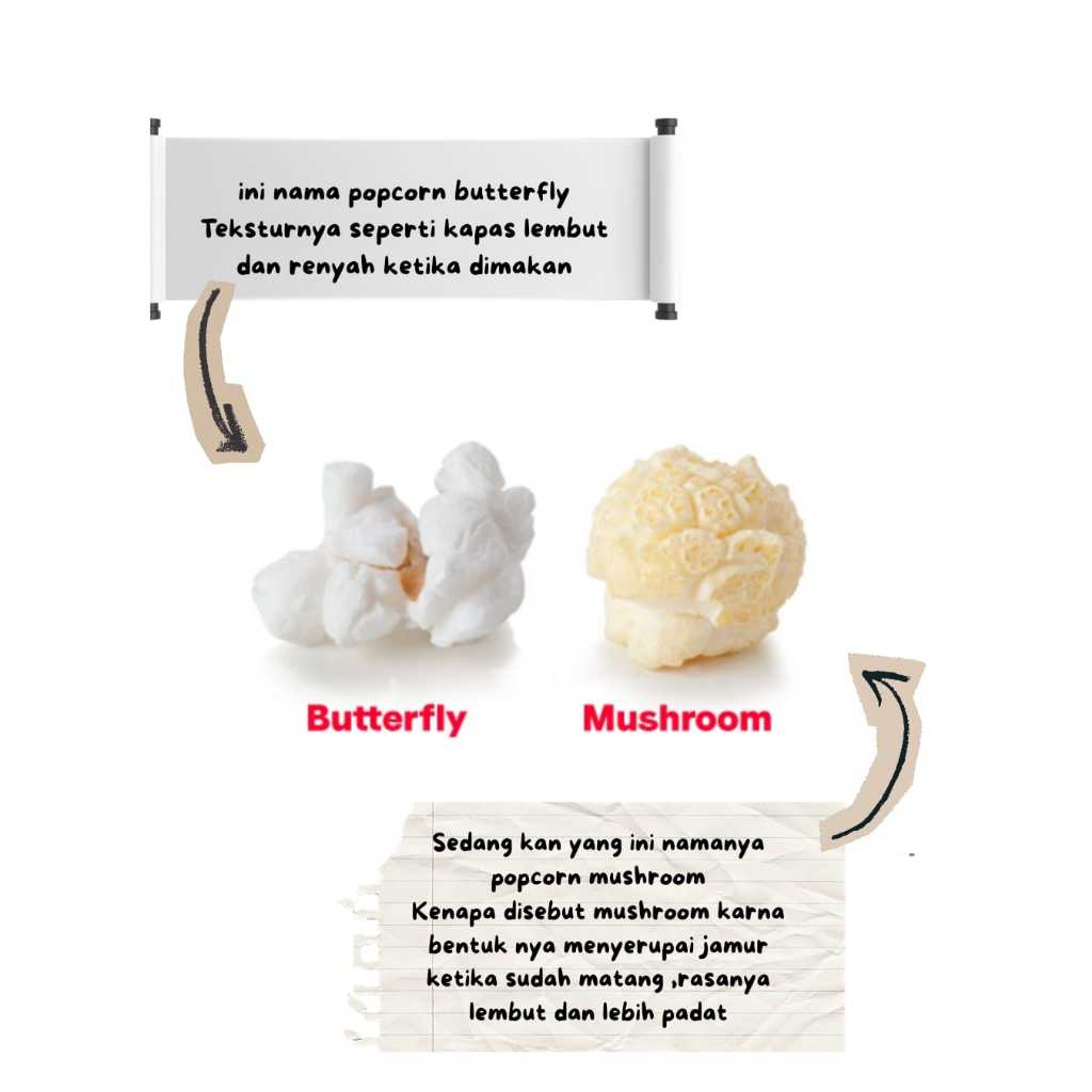 RAINBOW LOTUS - Biji Jagung Popcorn Jenis Butterfly Dan Jenis Mushroom Mentah (1 Kg) / Jagung Popcor