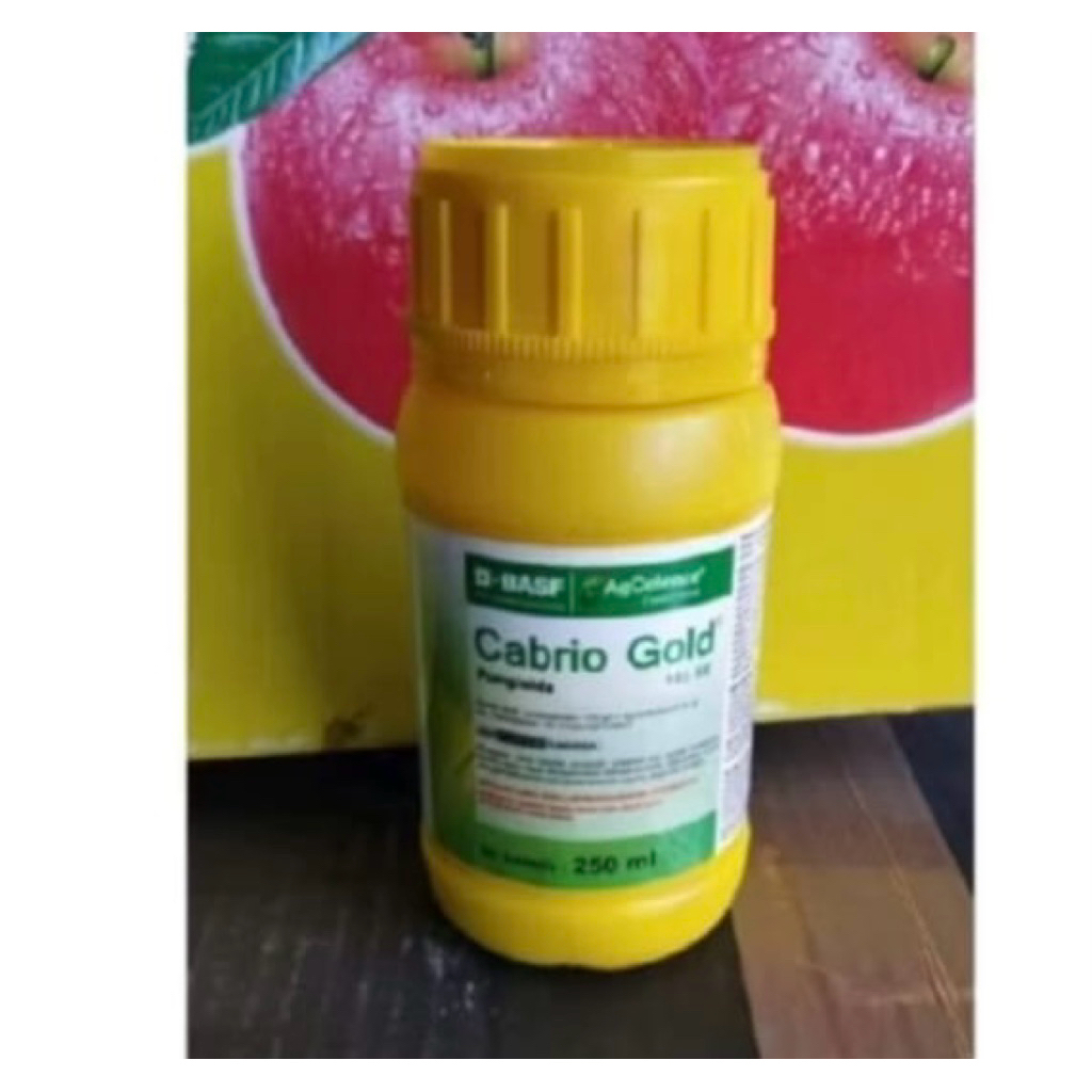 cabrio gold 250 ml