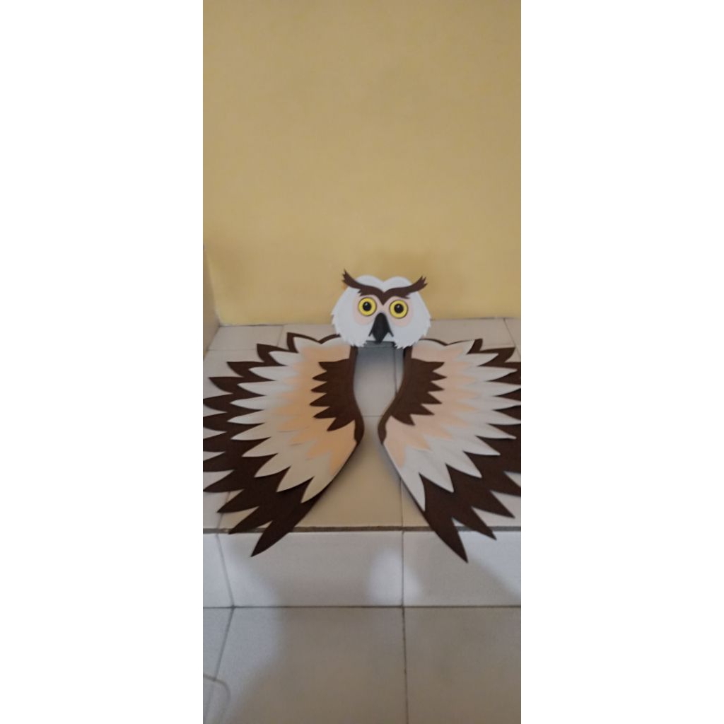 kostum karakter burung hantu