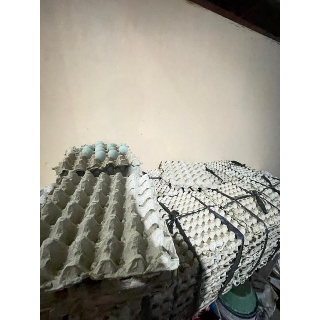 Telur puyuh dan Telur asin masir berminyak