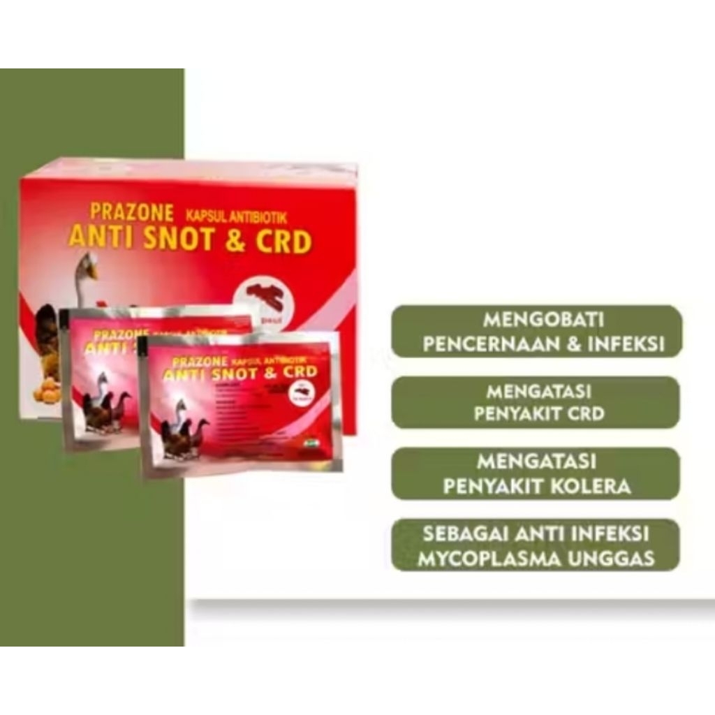 Anti Snot & CRD antibiotik unggas sachset