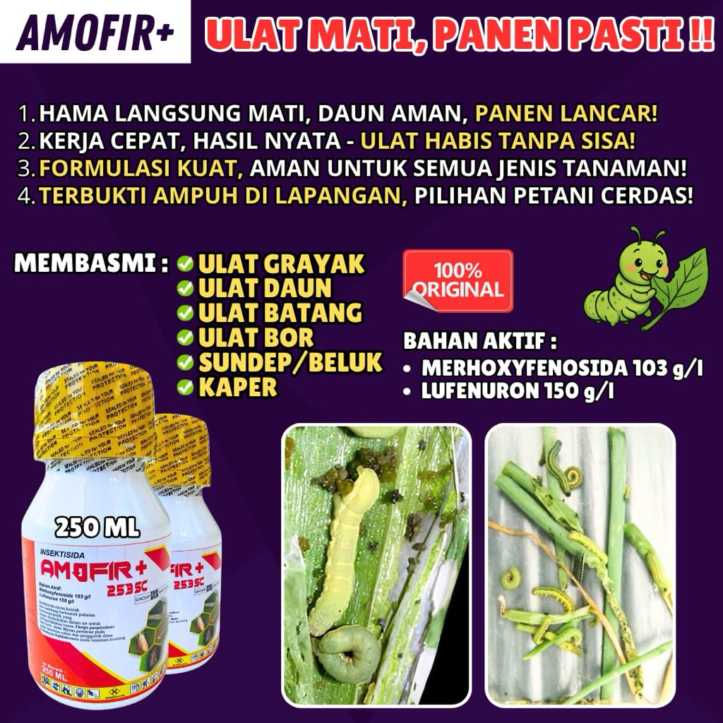 SEKALI SEMPROT ULAT KO Amofir+ Insektisida SISTEMIK pembasmi Ulat Grayak AMPUH 250 ml
