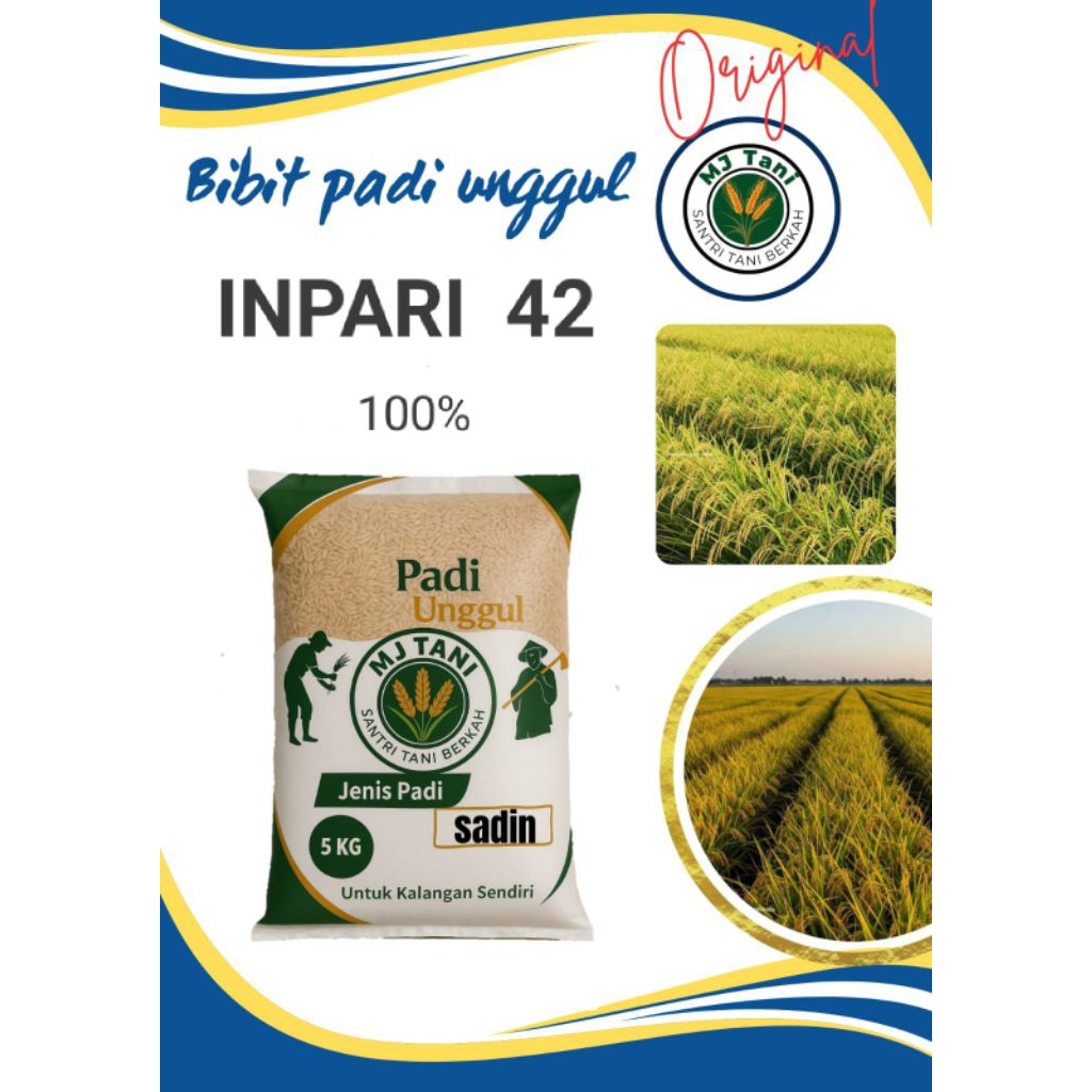 Benih padi unggul. INPARI 42  kemasan 5kg. benih Premium berkualitas
