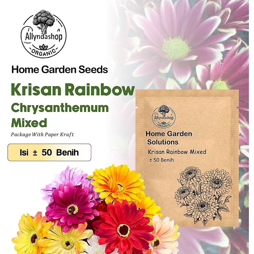 Benih Bibit Bunga Krisan Rainbow Mixed