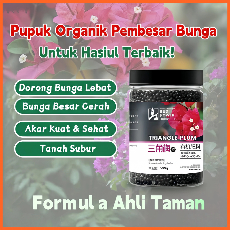 2Pcs Pupuk Bunga Kertas Susah Berbunga | Pupuk Khusus Bougenville Agar Cepat Berbunga | Perangsang A