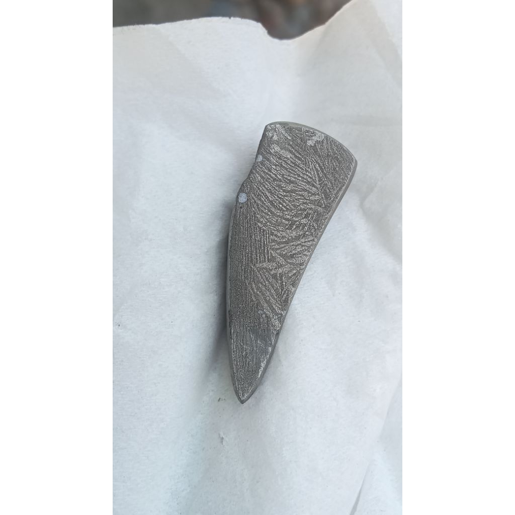 meteor batu Wesi Aji