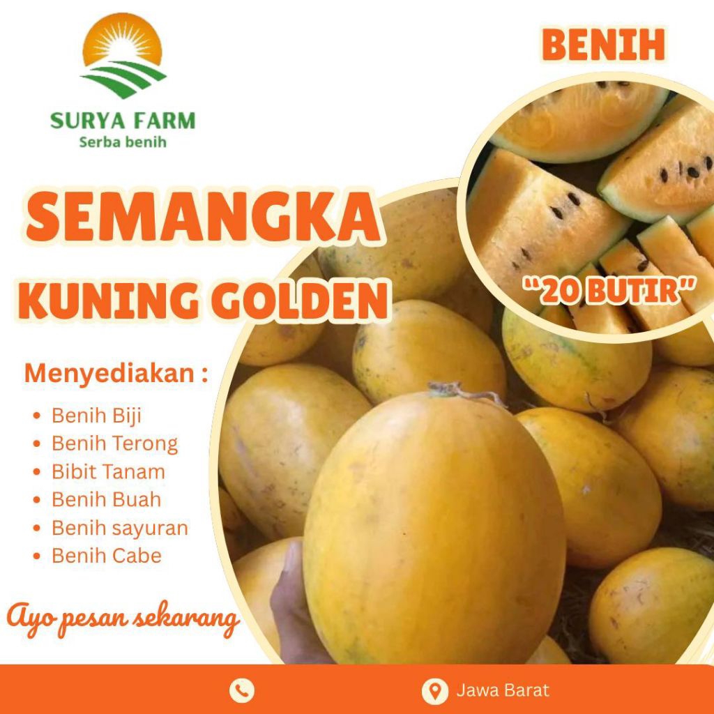 Benih Biji Semangka Kuning Golden Surya Farm Kemasan/ Bibit  Semangka Kuning Golden