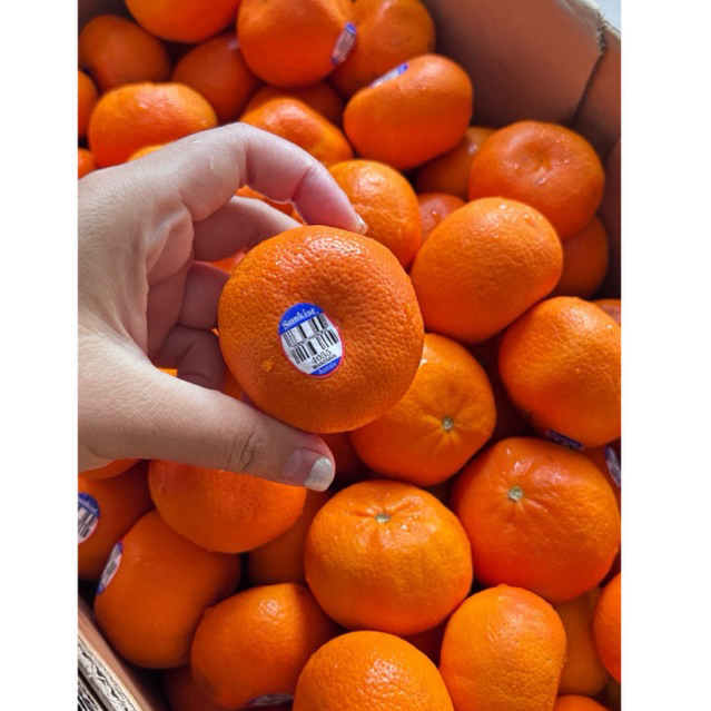 Jeruk mandarin by avoori | Jeruk kupas tanpa biji