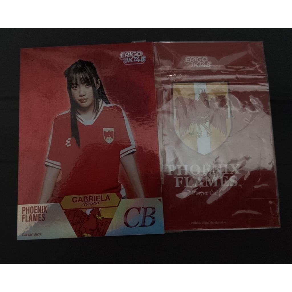 panini erigo x jkt48