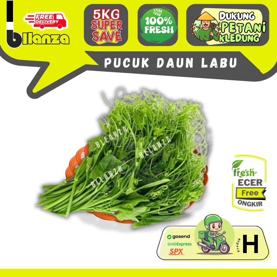 Bllanzanow | Daun Labu Siam / Pucuk Labu Siam — Sayur Gunung ECER