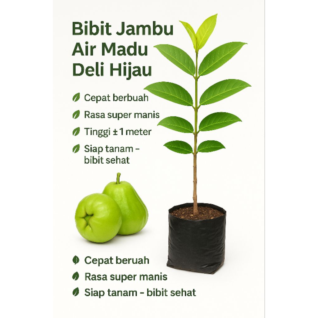 jambu deli