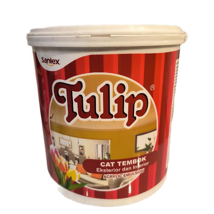 Cat Sanlex Tulip Interior 5 kg