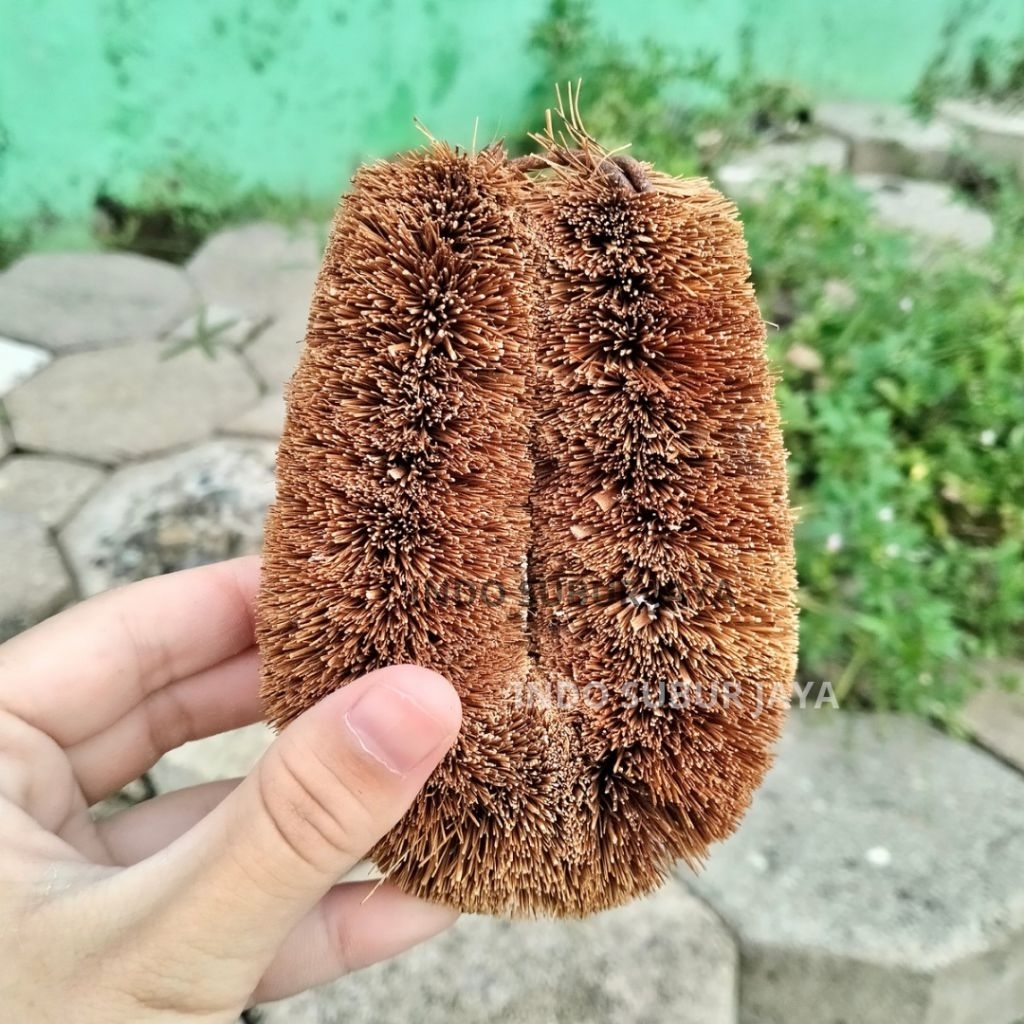 Sikat Coklat Sabut Kelapa Sikat Lantai Kamar Mandi