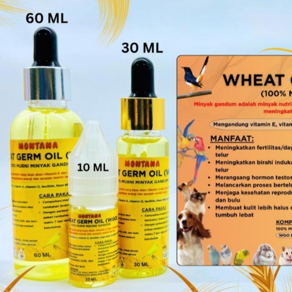 Vitamin Breeding WGO Vitamin Ternak Burung Murai Lovebird Kenari Minyak Essensial Asam Amino