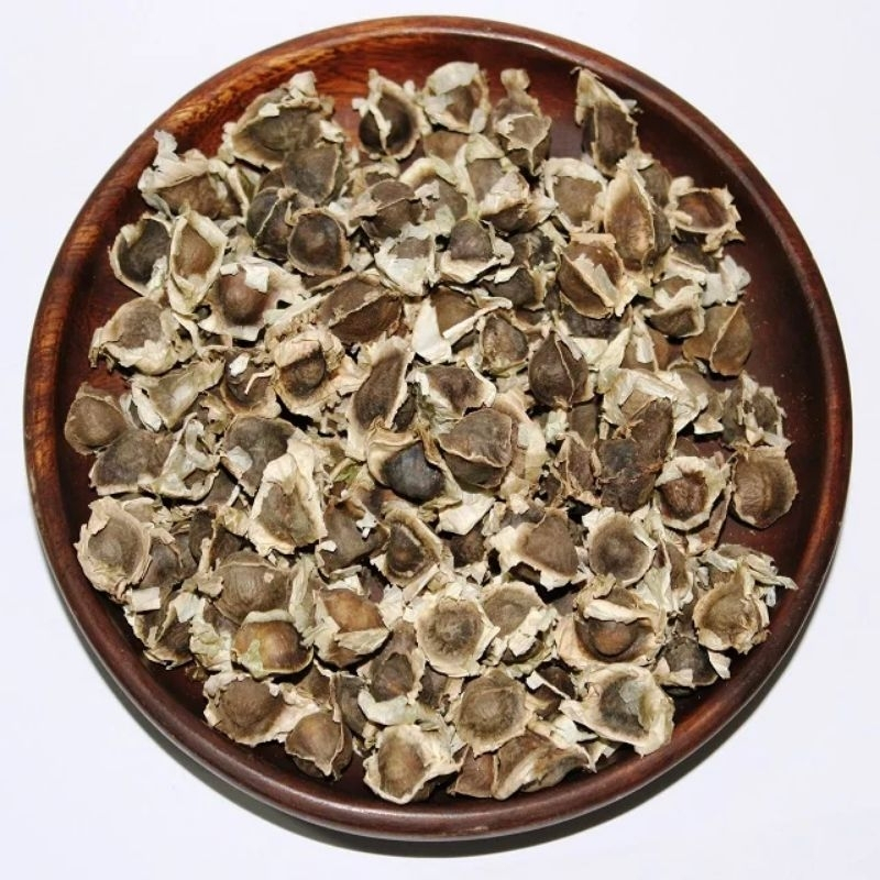 TERMURAH BIJI KELOR SAYAP 1 KG / BIJI MORINGA / BENIH KELOR 1 KG