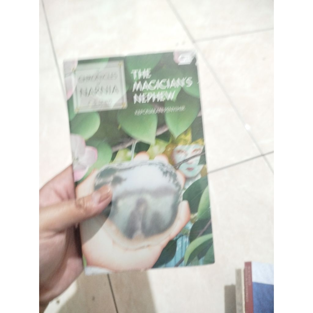 novel Narnia pertama