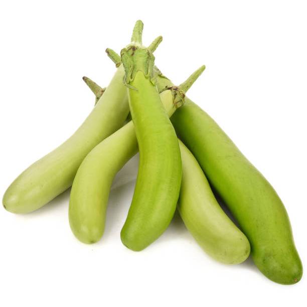 MURAH - BIBIT TERONG PANJANG HIJAU