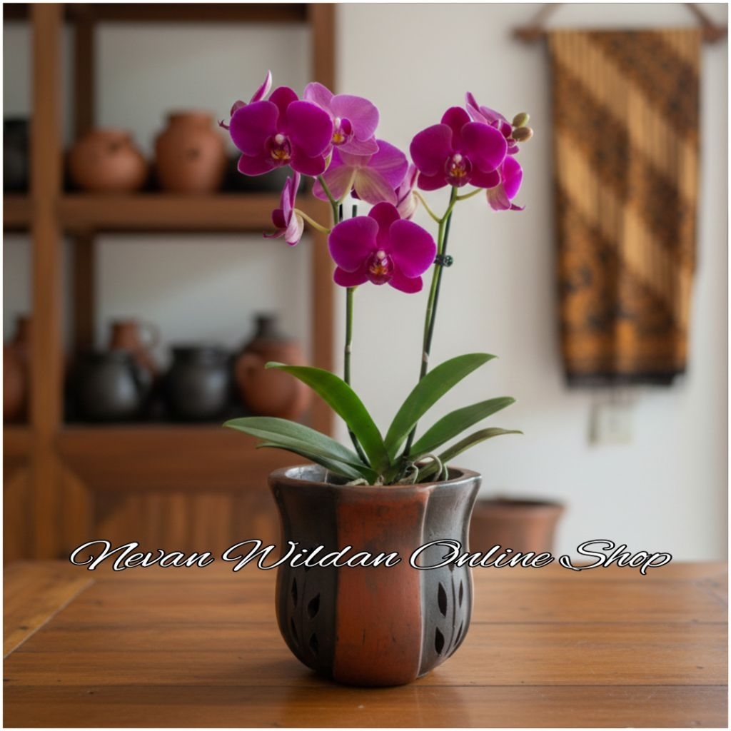 POT ANGGREK TANAH LIAT | POT GERABAH | POT MURAH| POT ANGGREK TANAH LIAT