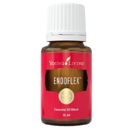 endoflex 15ml YL