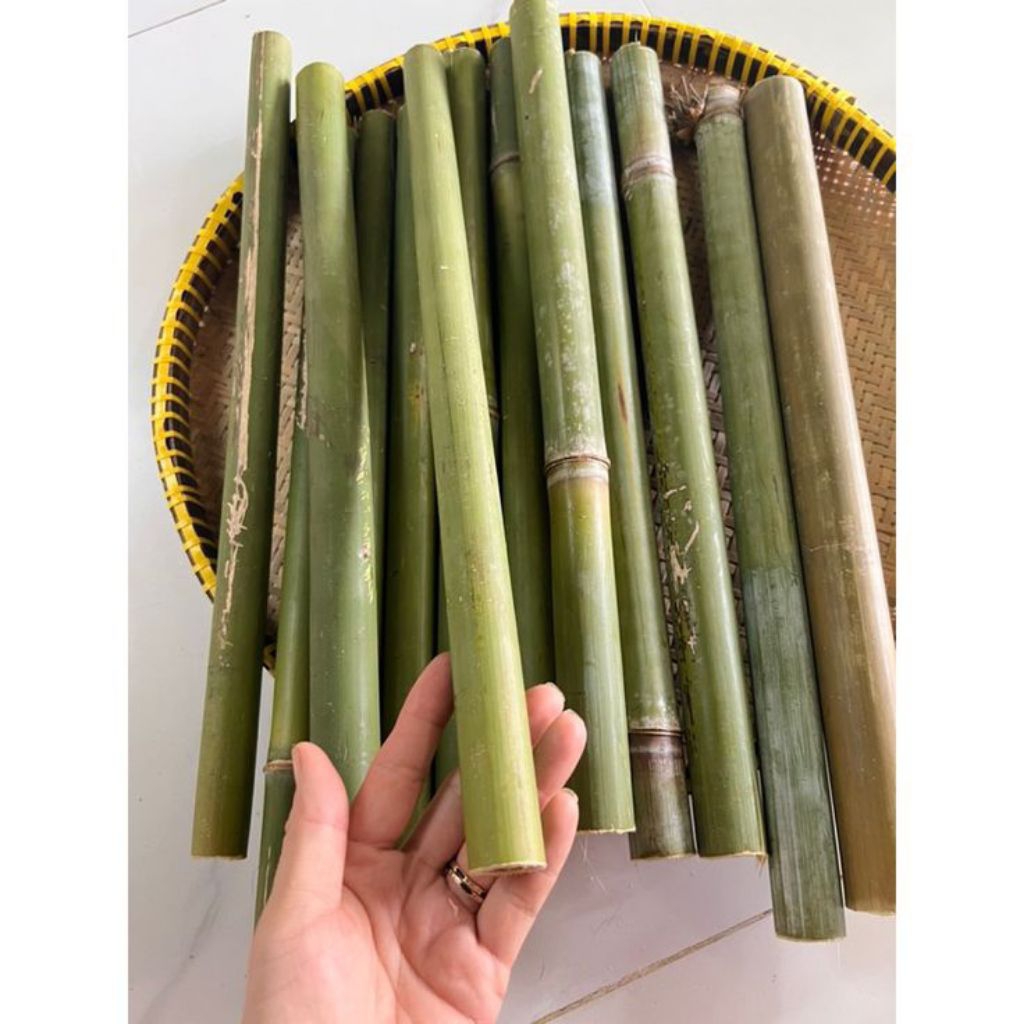 bambu tamiang bahan baku layang layang panjang 80 cm