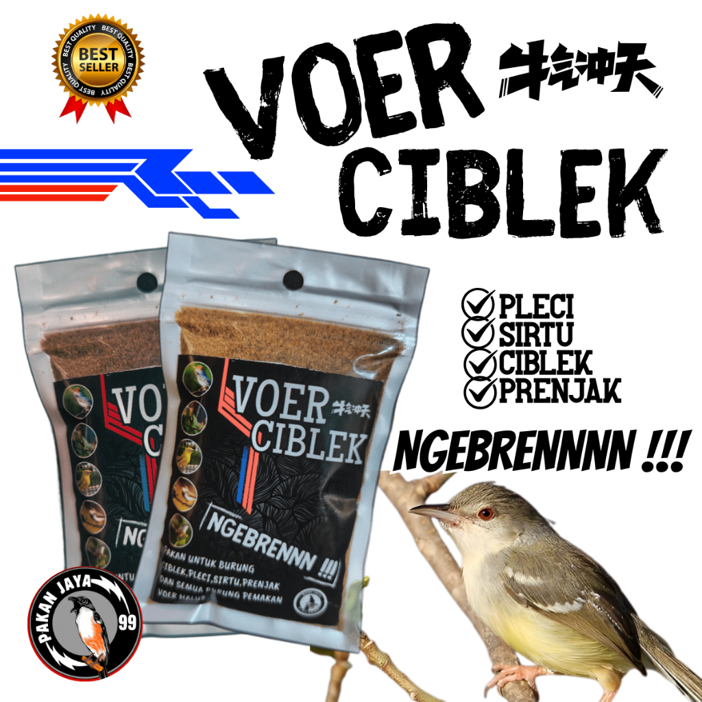 READY VOER CIBLEK 50GR PREMIUM HIGH PROTEIN TINGGI VOER HALUS PAKAN HARIAN CEPAT GACOR PLECI PRENJAK