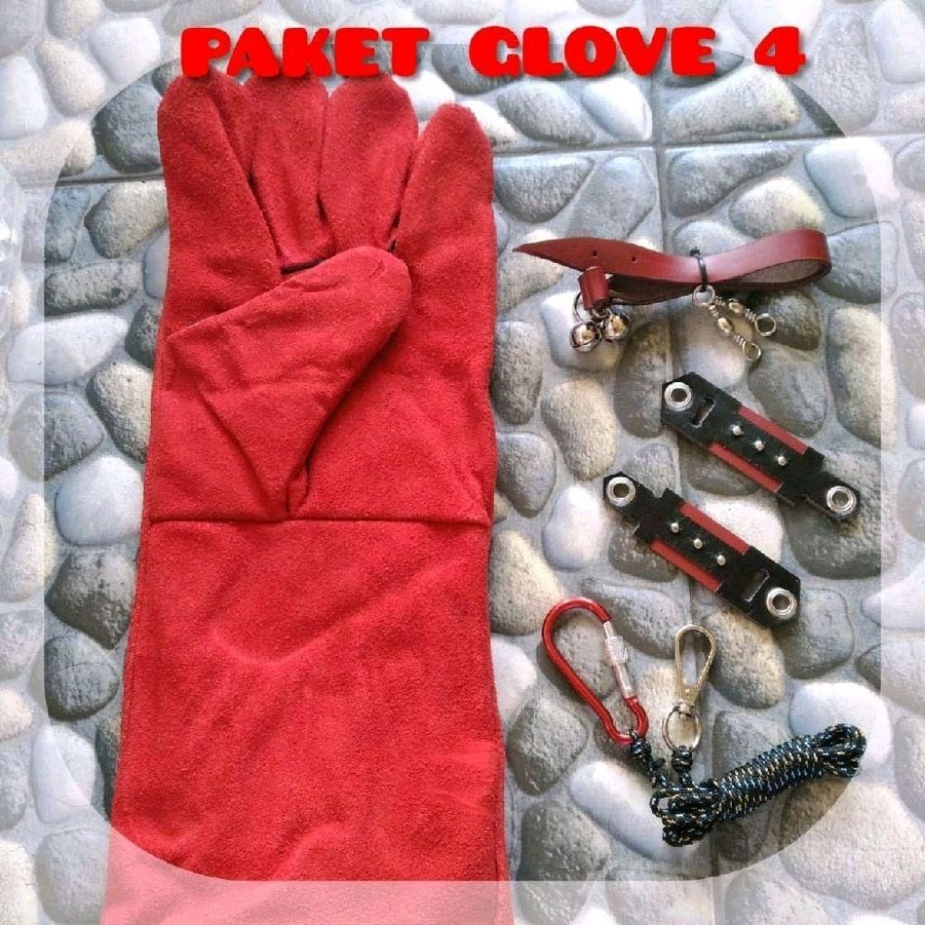 Paket angklet burung hantu tyto alba/barn owl