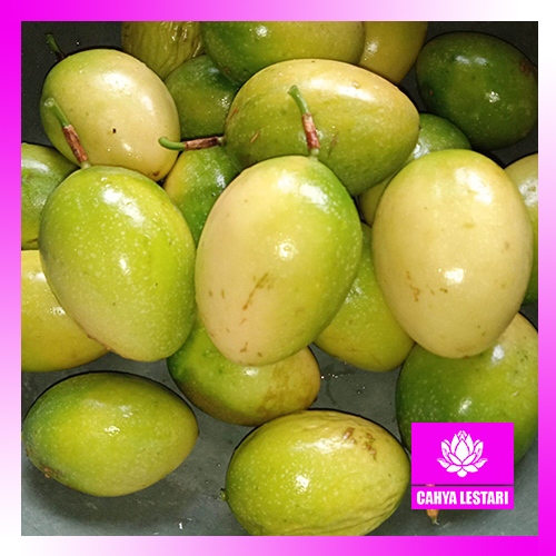 Paket Kargo Buah Markisa Segar Asam manis 1kg