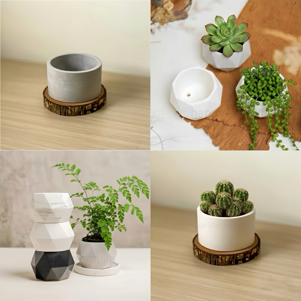 Round Geometry 10cm Pot Semen. Concrete Planter. Pot Minimalis Terlaris Termurah Happysugarlife