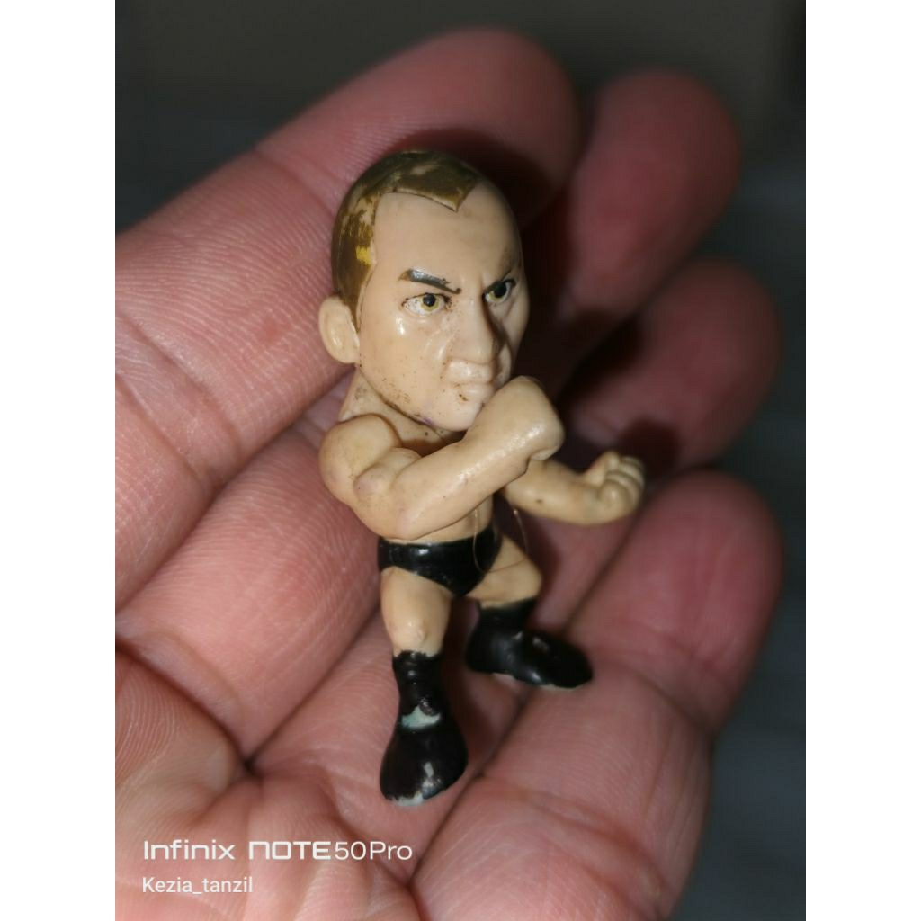ACTION FIGURE FIGUR SMACKDOWN SMACK DOWN CHIBI JUNIOR JR WWE OTOT MUSCLE THE ROCK WRESTLING ACTION R