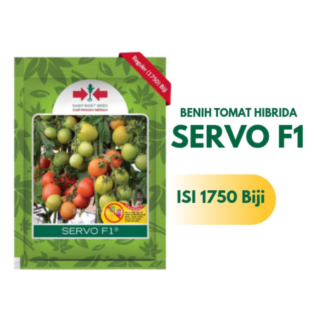 Benih Tomat Hibrida SERVO F1 Cap Panah Merah