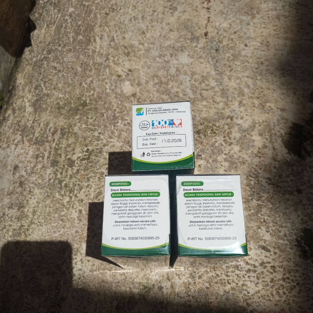 bidara, daun bidara, teh celup bidara, bidara arab