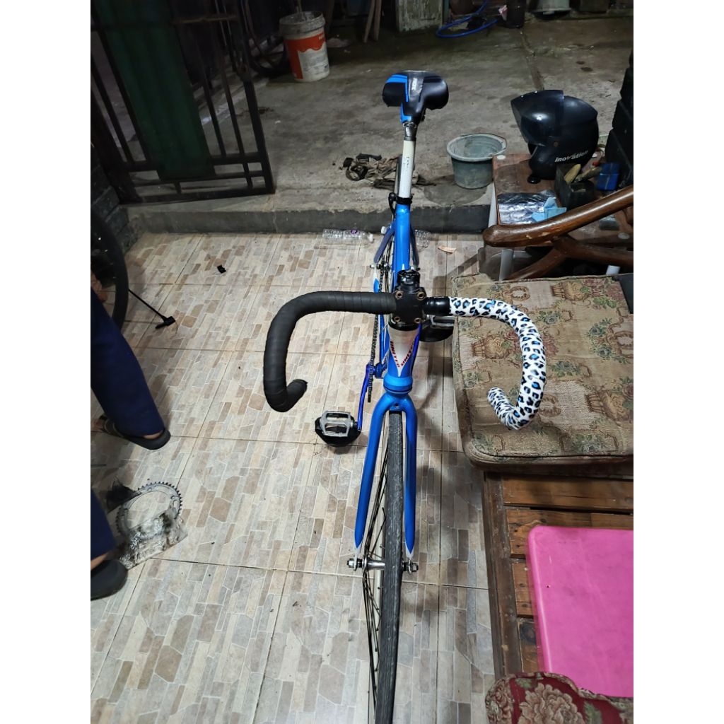 fixie United Evolution
