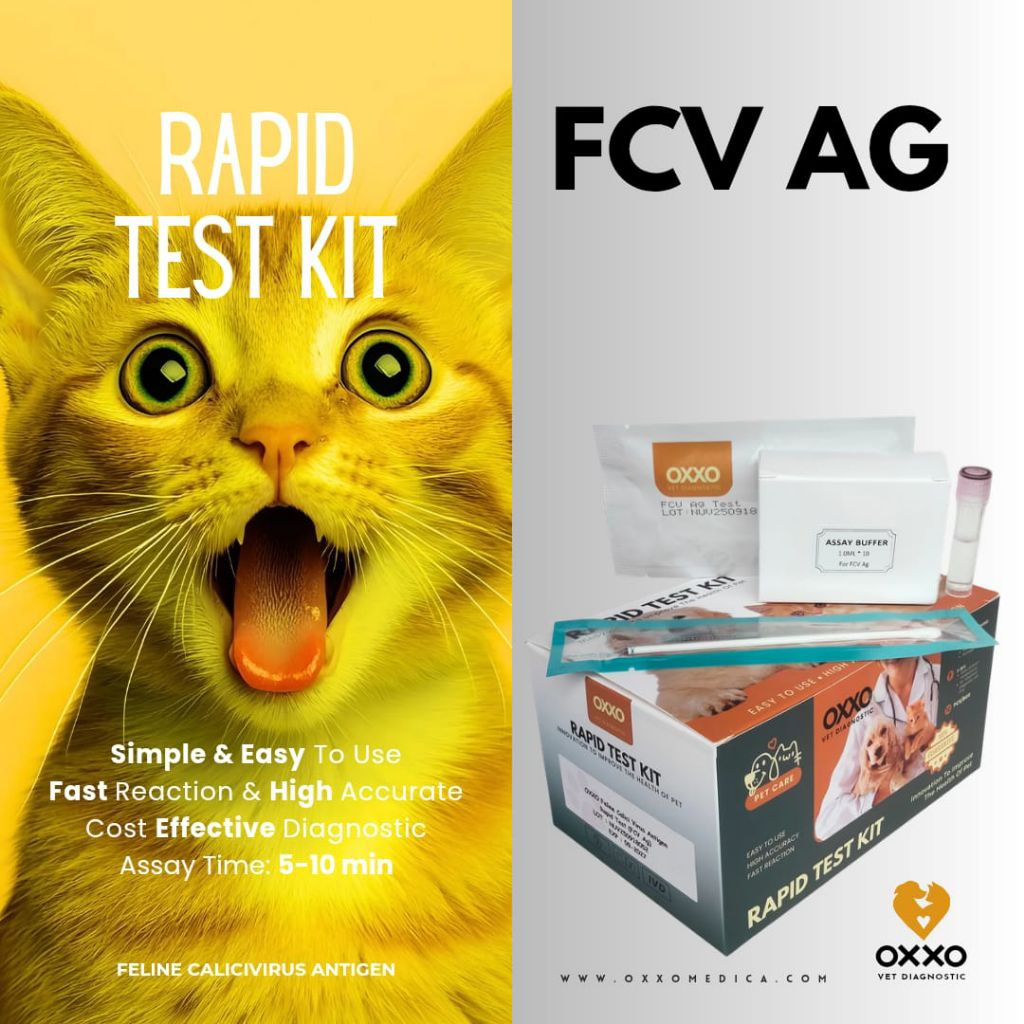 Rapid Test FCV Ag/Test Kit
