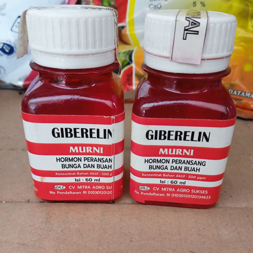 Giberelin 60ml
