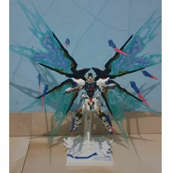 Gundam MG Strike Freedom Dragon Momoko