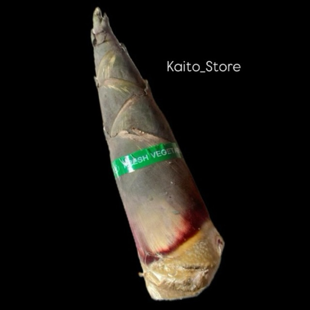 SAYUR REBUNG 1BUAH/REBUNG BAMBU MUDA/REBUNG CHINA/SAYUR REBUNG SEGAR/REBUNG MURAH/LUMPIA REBUNG/SAYU