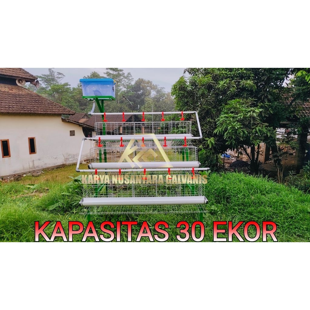 KANDANG AYAM PETELUR SUSUN 3 LENGKAP KANDANG LAYER FULL SET
