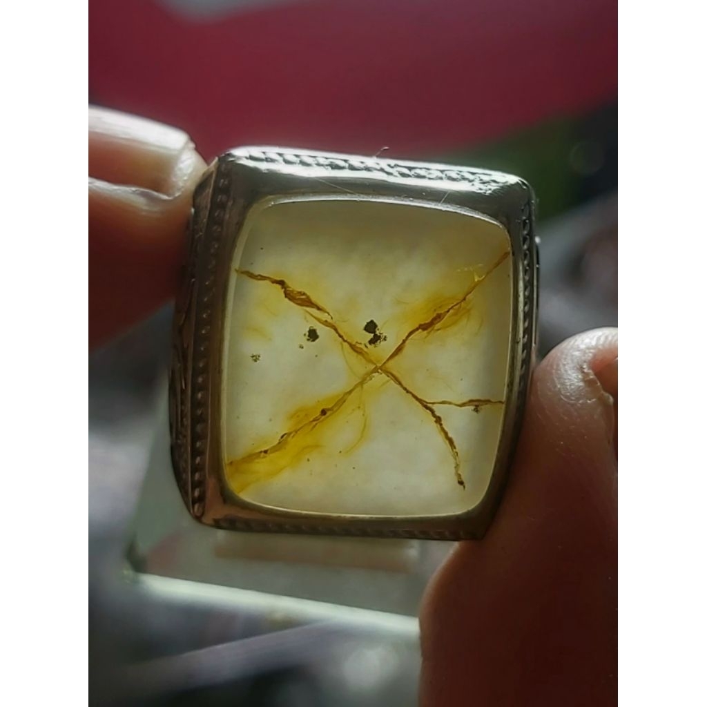 Tapak Jalak Srigunting