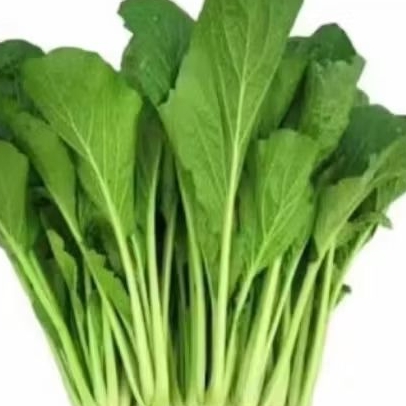 cesim sawi hijau 1 kg